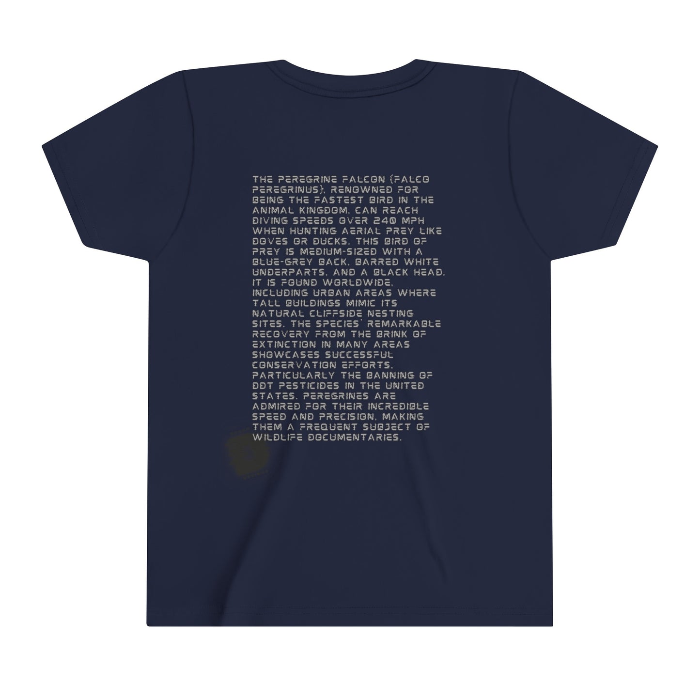 Peregrine Falcon Fun Facts - Educational T-Shirt