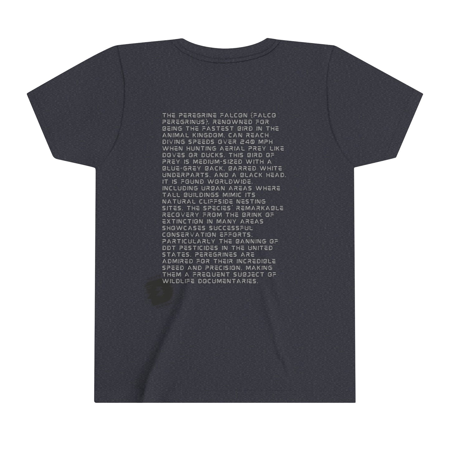 Peregrine Falcon Fun Facts - Educational T-Shirt