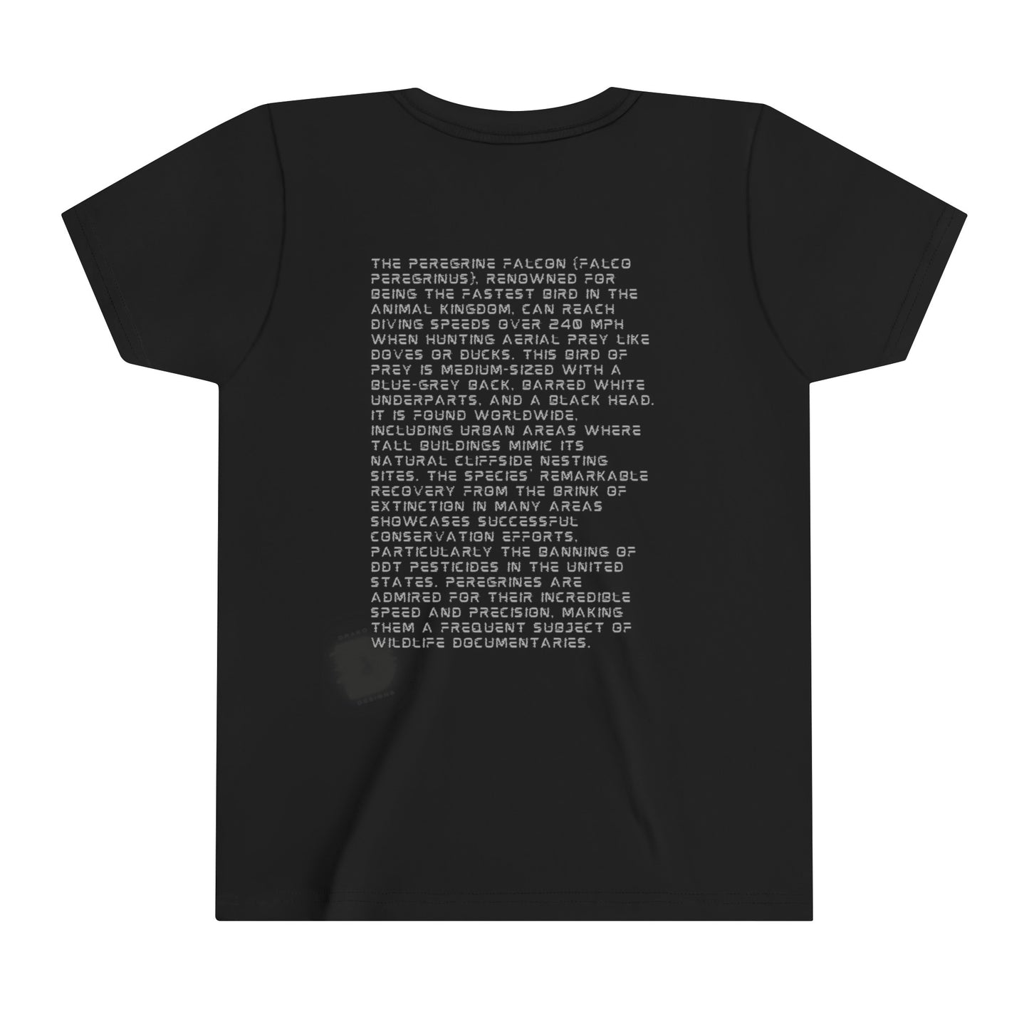 Peregrine Falcon Fun Facts - Educational T-Shirt